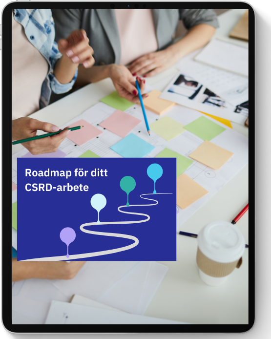 SE Image Loneworker roadmap CSRD