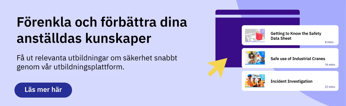 1468052c-a67d-4b9d-8e41-b876a9af5f4a.png