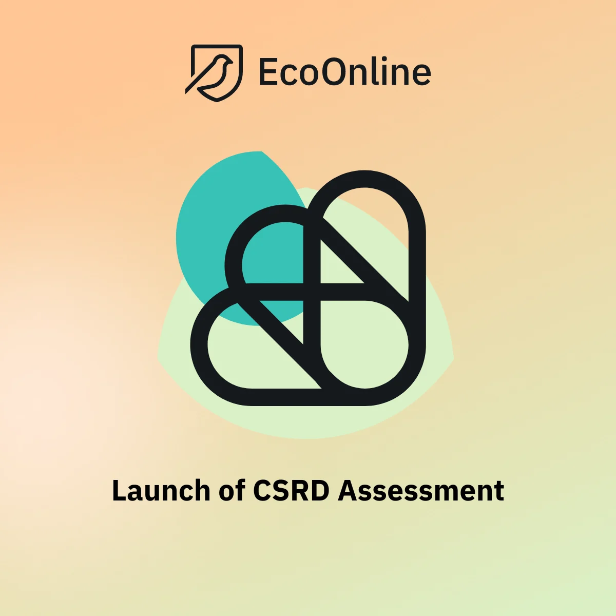 News20release20CSRD20Assessment20badge-7